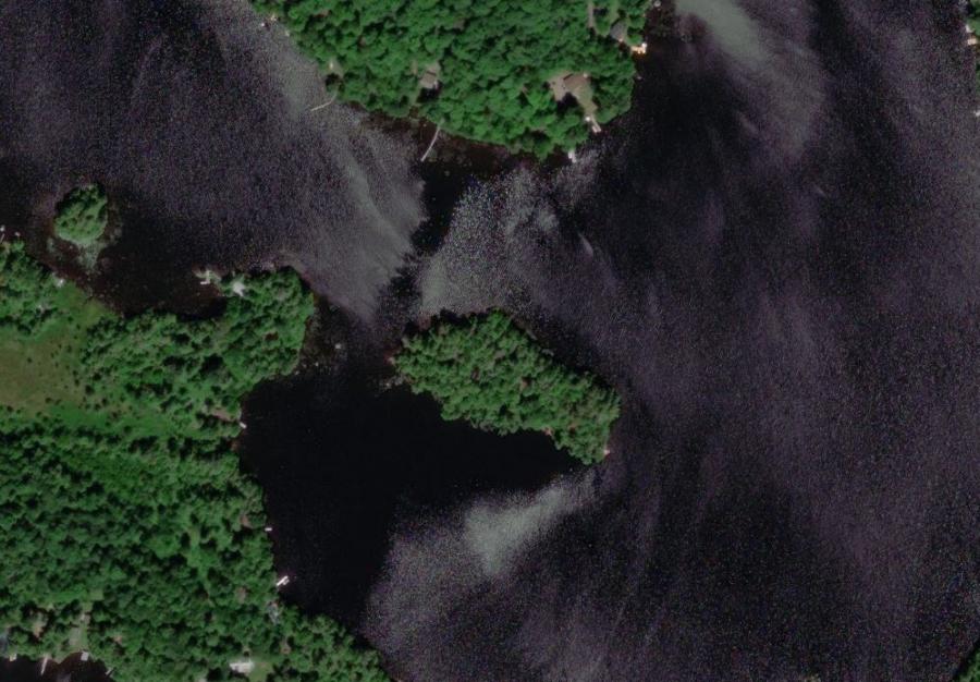 Aerial Map of Auricula Island Island on Wood Lake