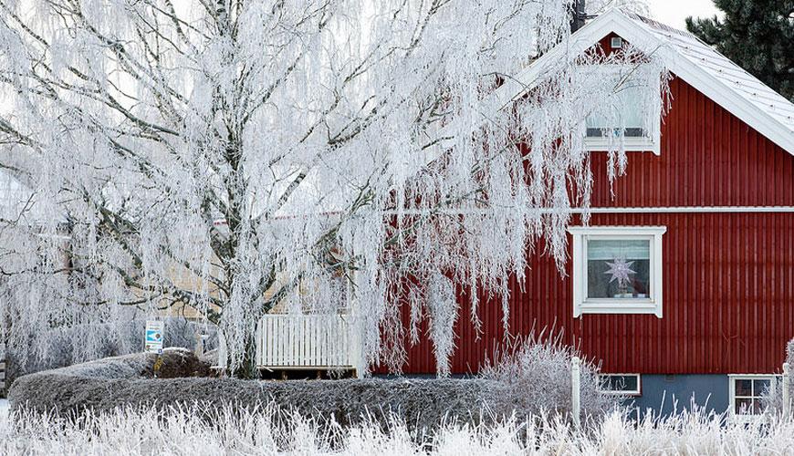 Creating a Cozy Home for Winter