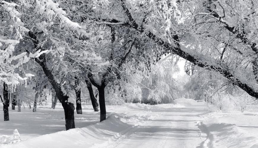 Winterizing your Cottage