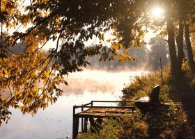 Environmentally Healthy Shorelines in Muskoka