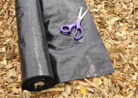 Mulching your Garden