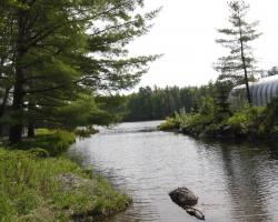 Loon Lake Boat Launch 