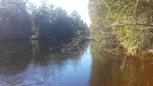 River