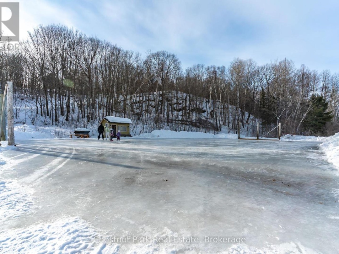 1052 Rat Bay Rd 109 7 Road, Lake Of Bays