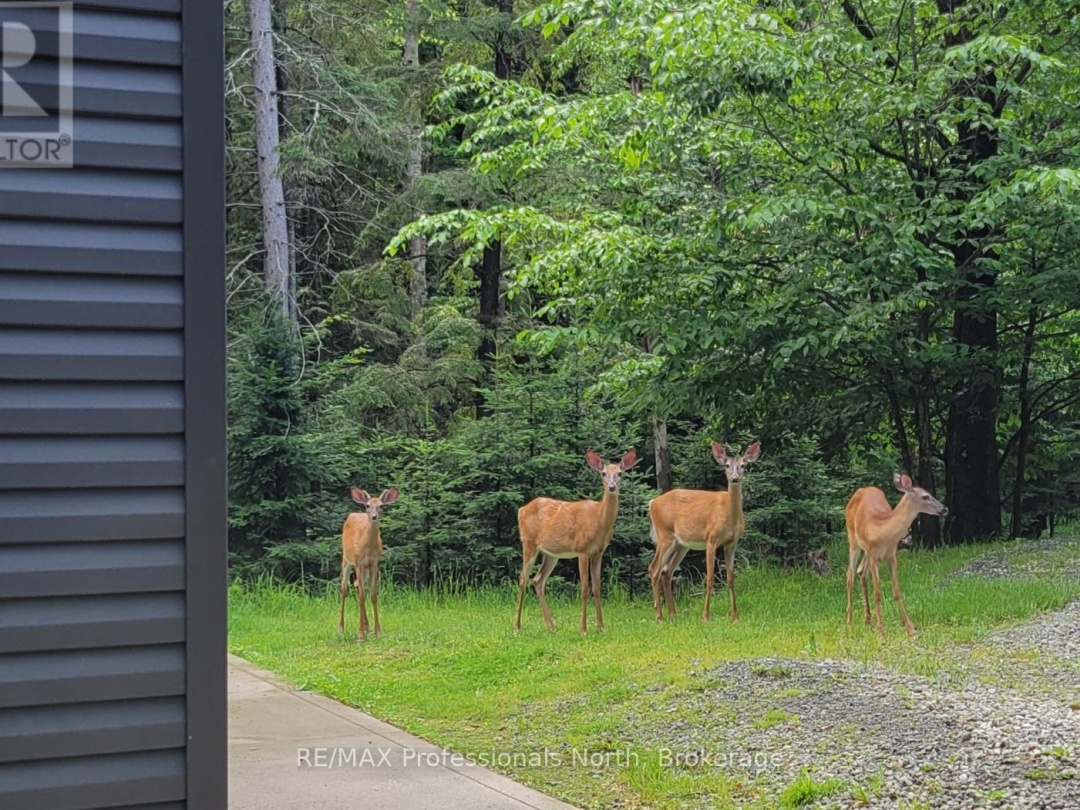 504 SOUTH WASEOSA LAKE ROAD, 