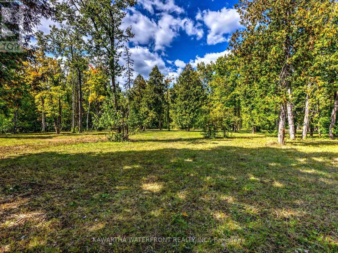 75 BEAVER DRIVE, 