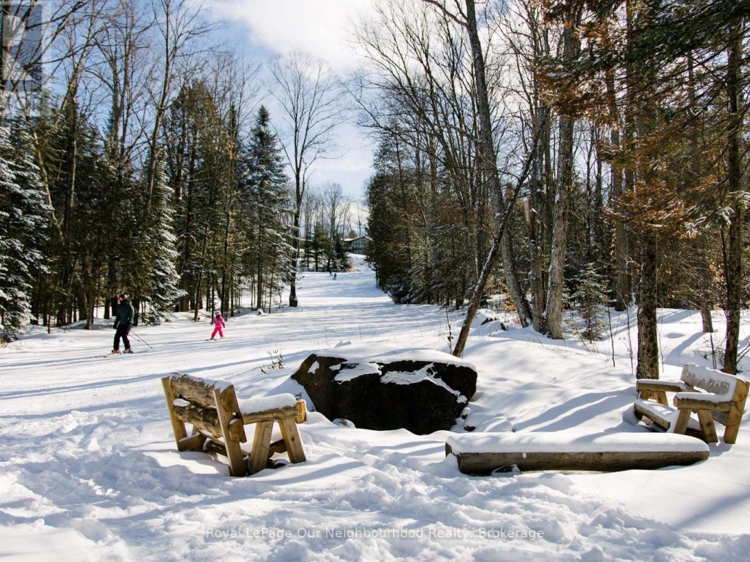 1040 SKI RIDGE TRAIL, 