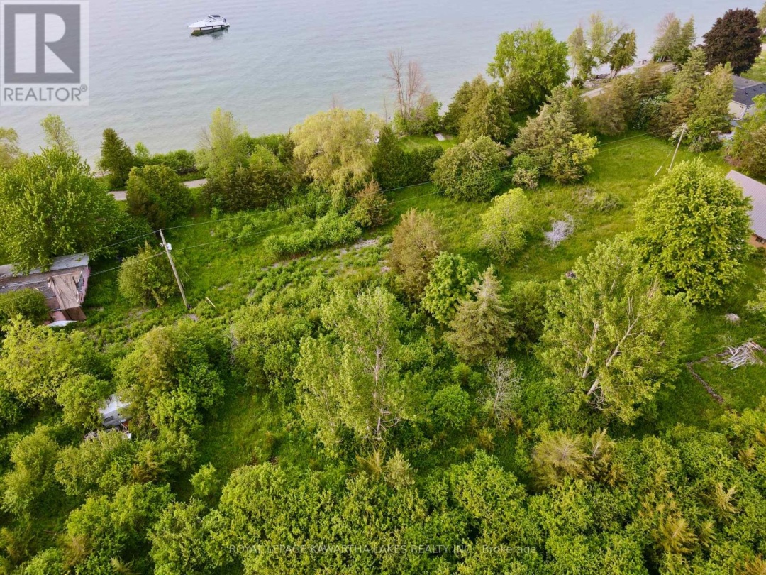 0 Shore Road, Simcoe Lake