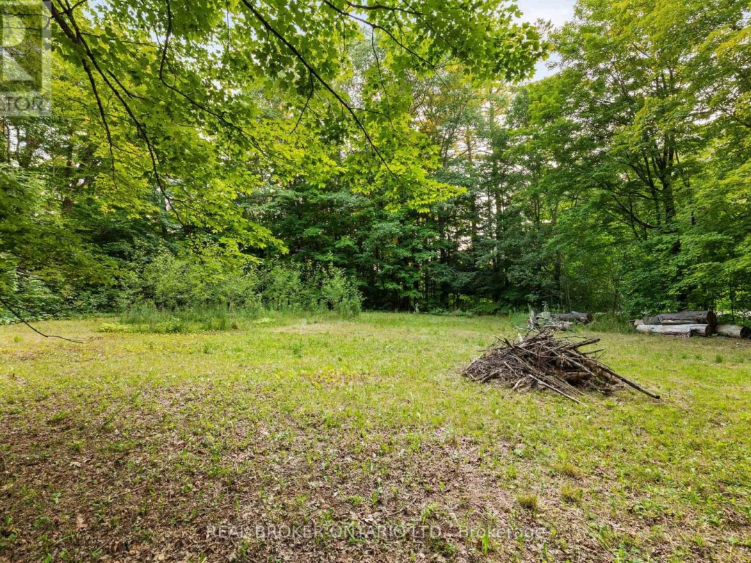 1401 COOPERS FALLS ROAD, Black River
