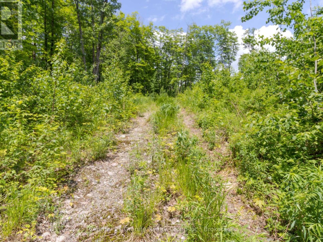 0 HALIBURTON LAKE ROAD, 