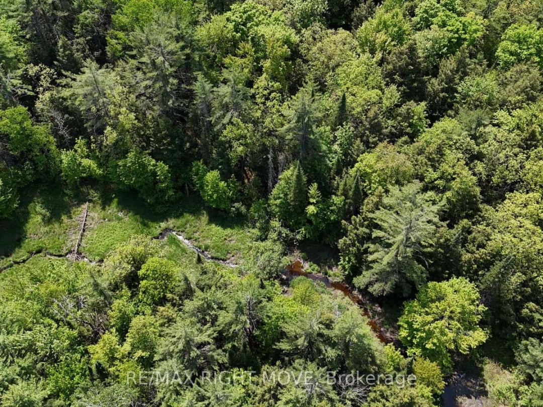 2159 SOUTHWOOD ROAD, 