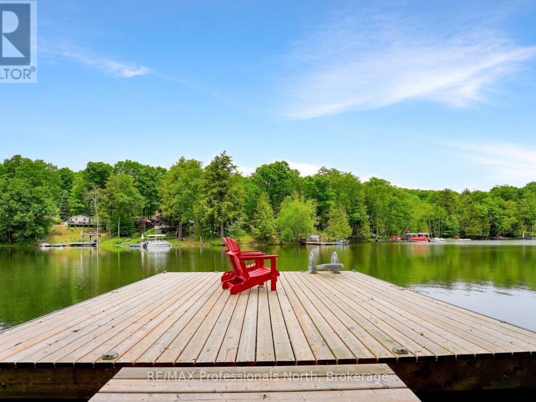 1039 MINK ROAD, Long Lake