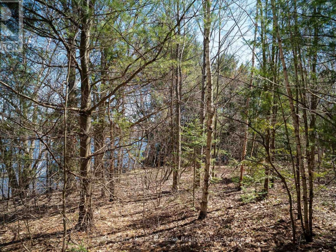 10 Alex Lane, Maple Lake