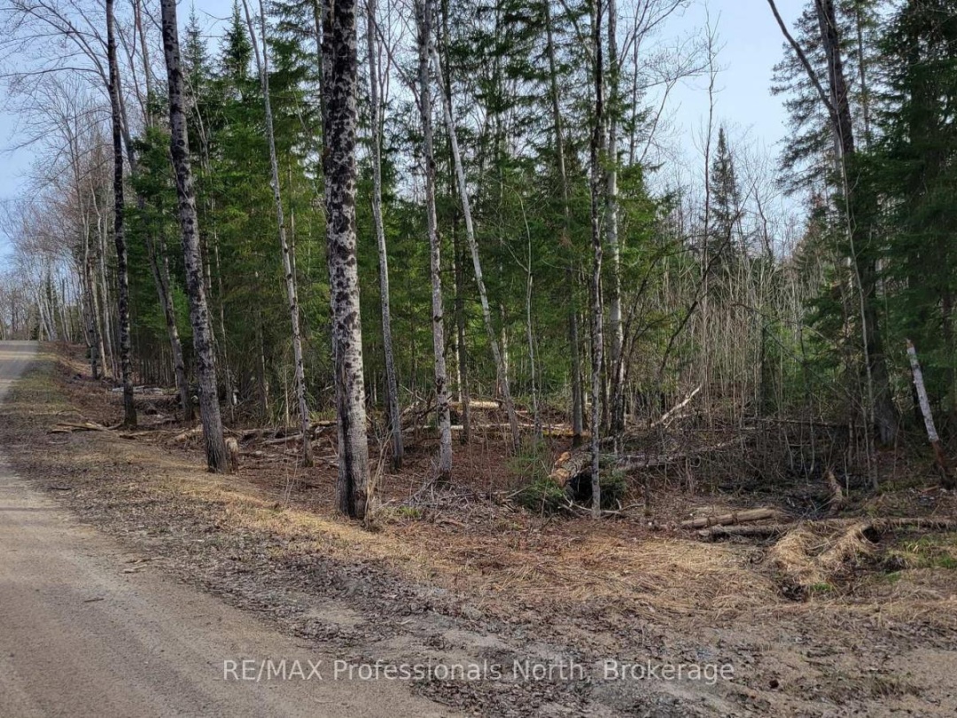 PCL 20438 & 29803 UPPER WALKER LAKE ROAD, Lake of Bays (Sinclair)