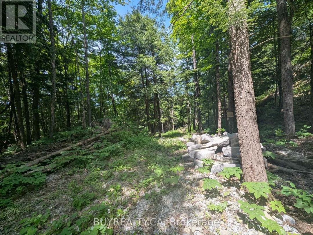 2318 SHERWOOD FOREST LANE, 