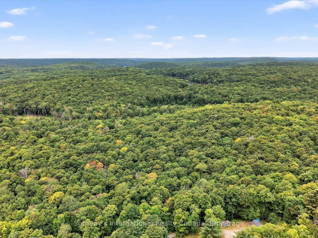 1132 LIMBERLOST ROAD, 