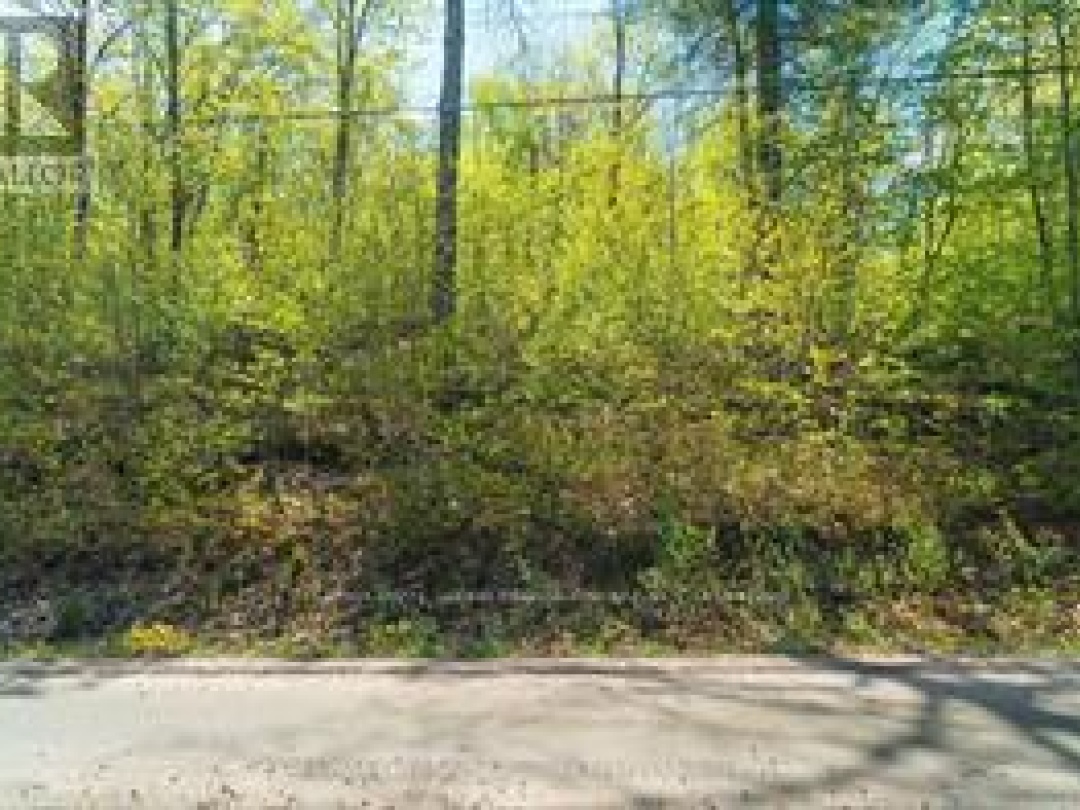 1835B LORIMER LAKE ROAD N, Whitestone (Hagerman)