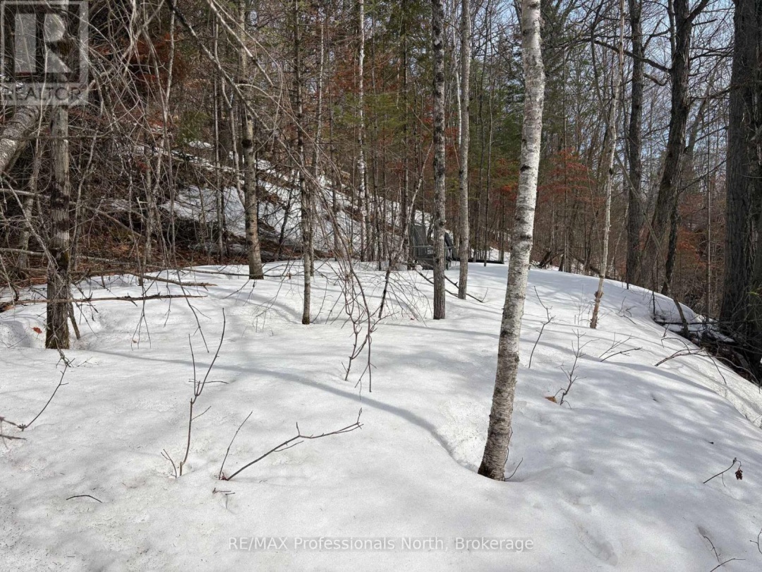 0 TRAPPER'S TRAIL ROAD, Dysart et al (Dudley)