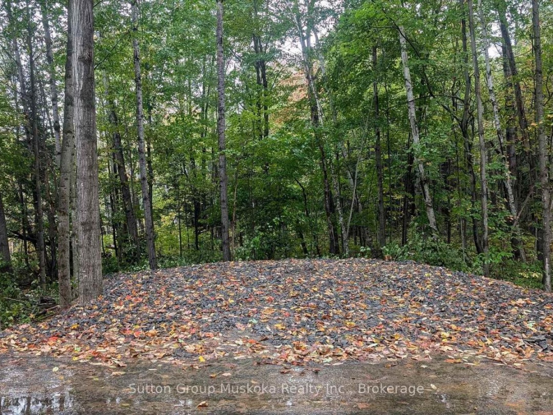 LOT 1 TALLY-HO WINTER PARK ROAD, 