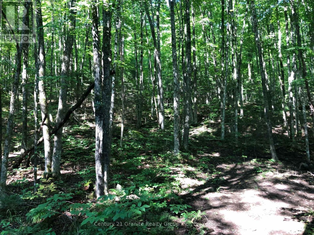 LOT 6-10 MOON ROAD, 