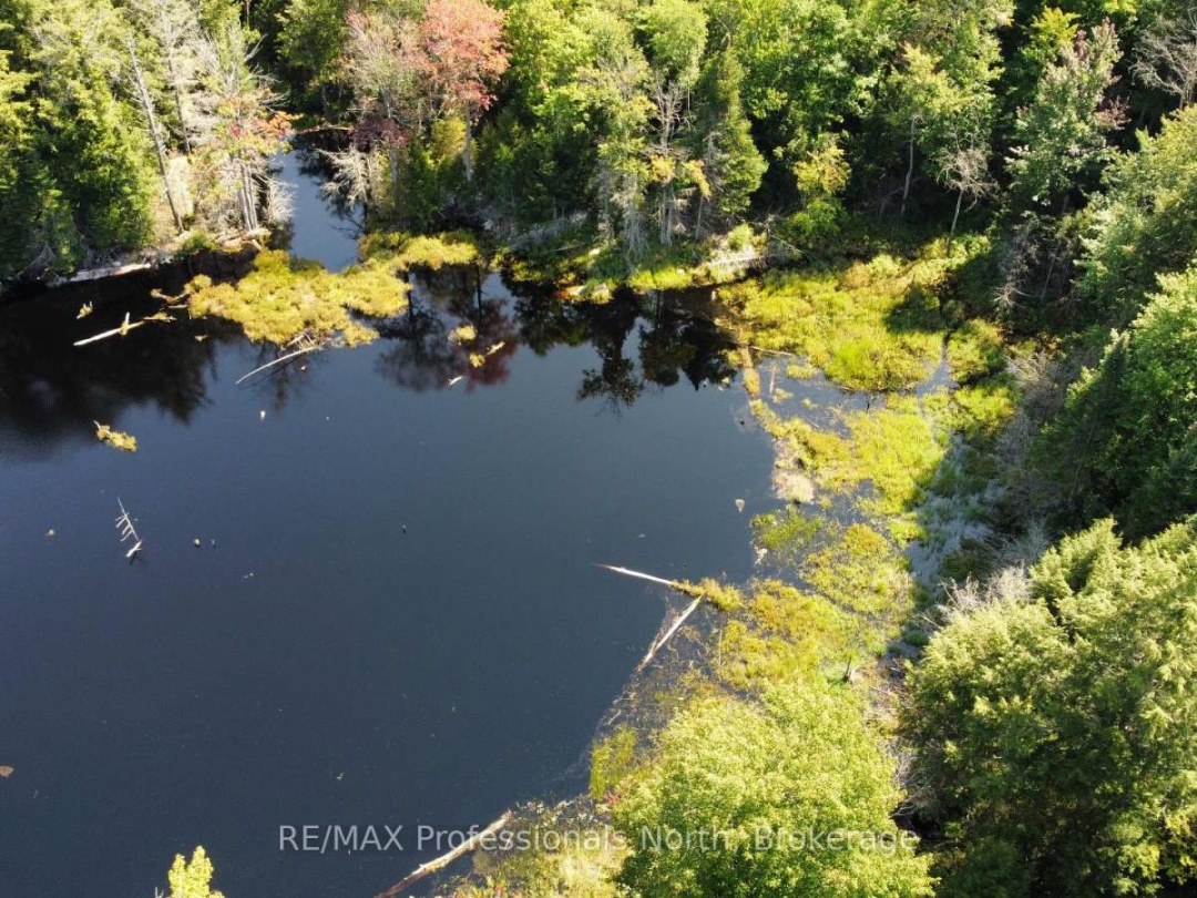 LOT 32 CONCESSION 5, Round Pond