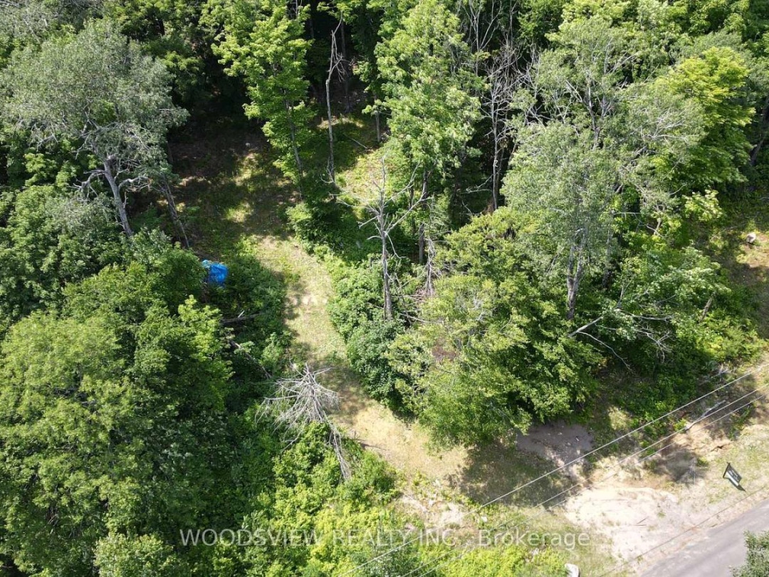 1610 WILLIAMSPORT ROAD N, 