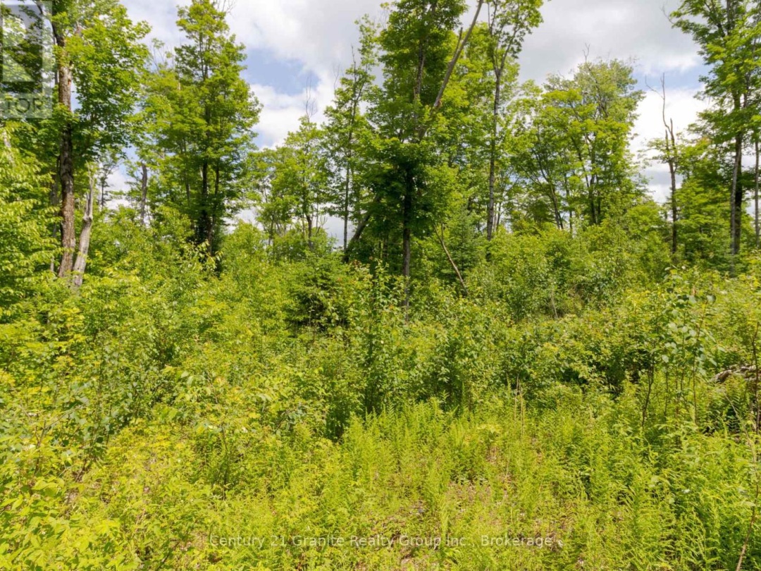 0 HALIBURTON LAKE ROAD, 
