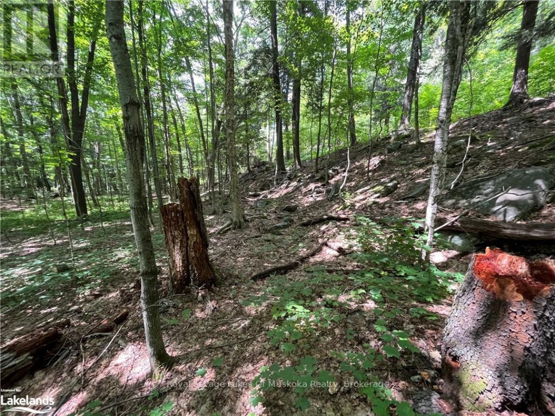 Lot 134 Brennan Circle, Lake Vernon