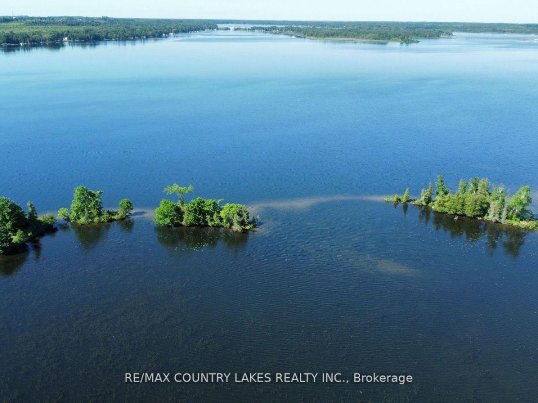 Lt 1 Island, Canal Lake