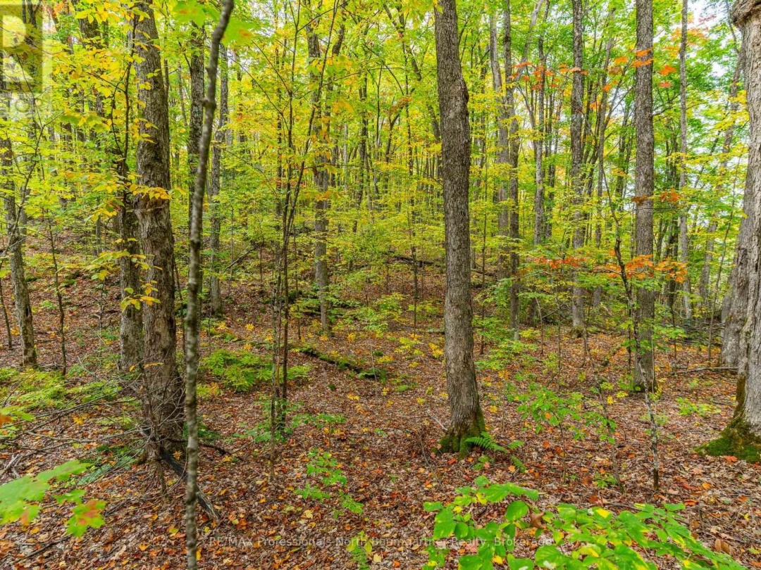 PART LOT 1 SALERNO LAKE ROAD, 