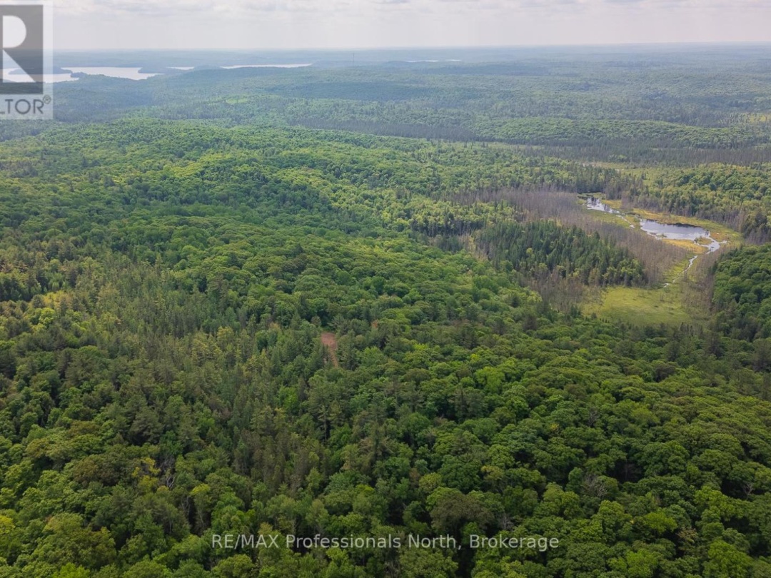 LOT 20 - 6 CONCESSION, 