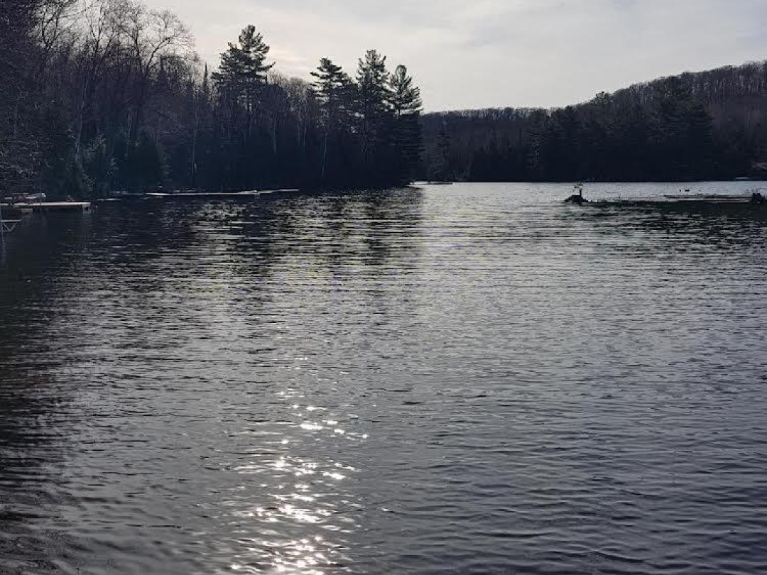 Lot 22 Select Trail, Drag Lake