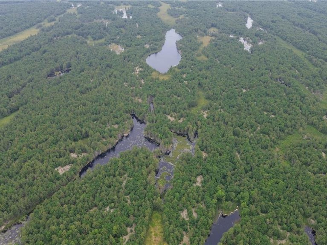 3950 Severn River Shore, Severn Lake