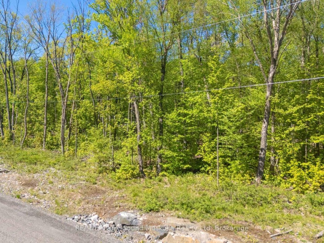 20 ZHAAWASHKWAA MIIKA ROAD, Clear Lake