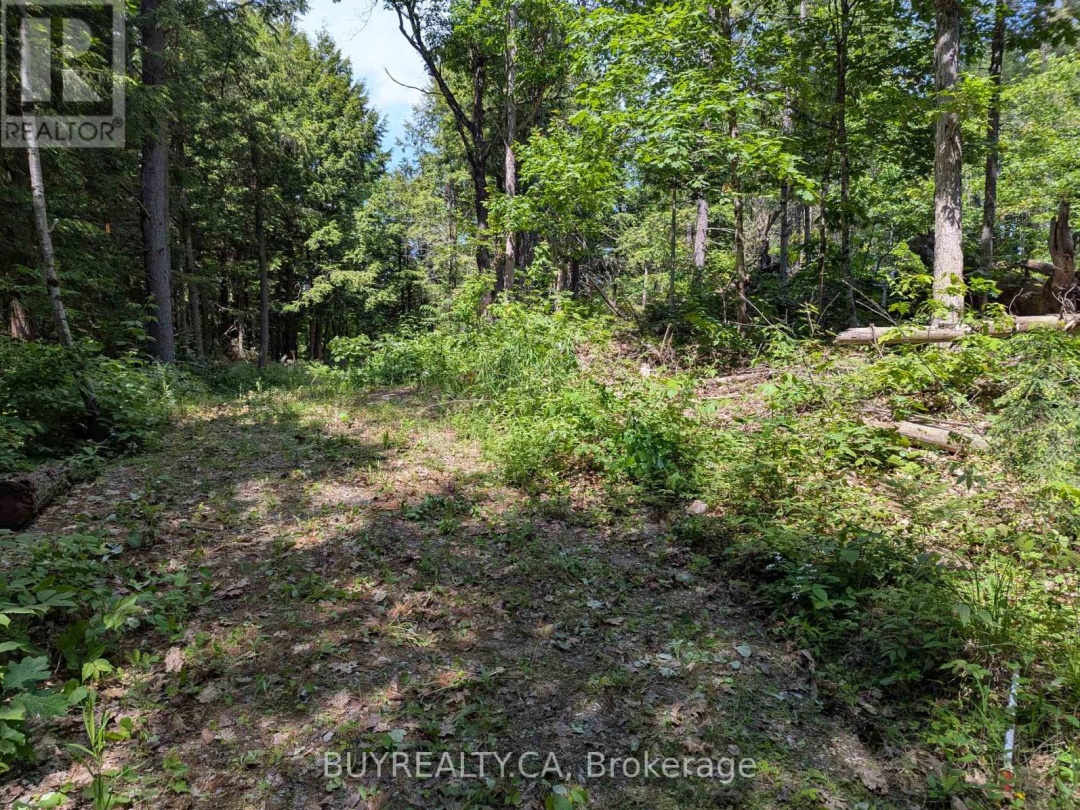 2318 SHERWOOD FOREST LANE, 
