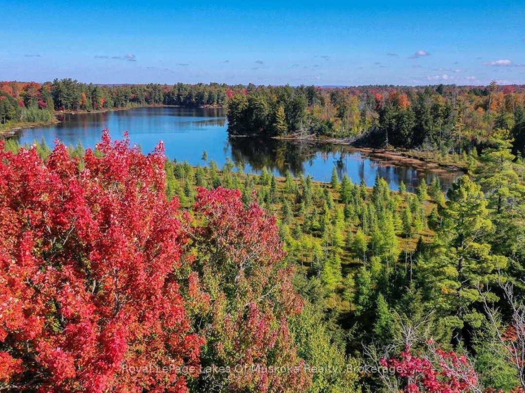 1420 LIMBERLOST ROAD, 