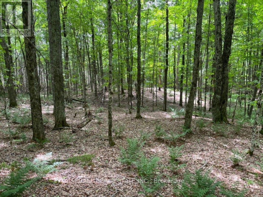 1350 HALIBURTON LAKE RD,