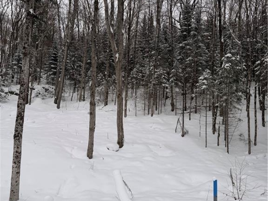 23 ST ANDREWS Circle,