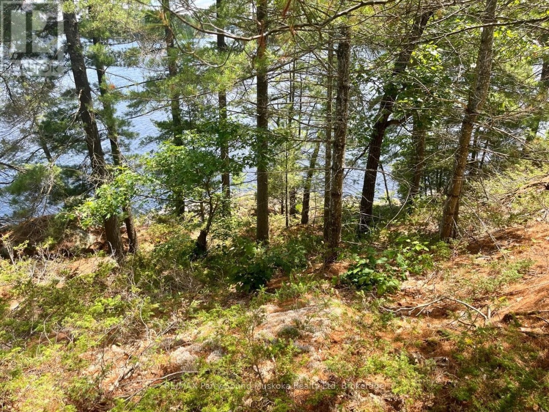 3 Sandy Hook, Wahwashkesh Lake
