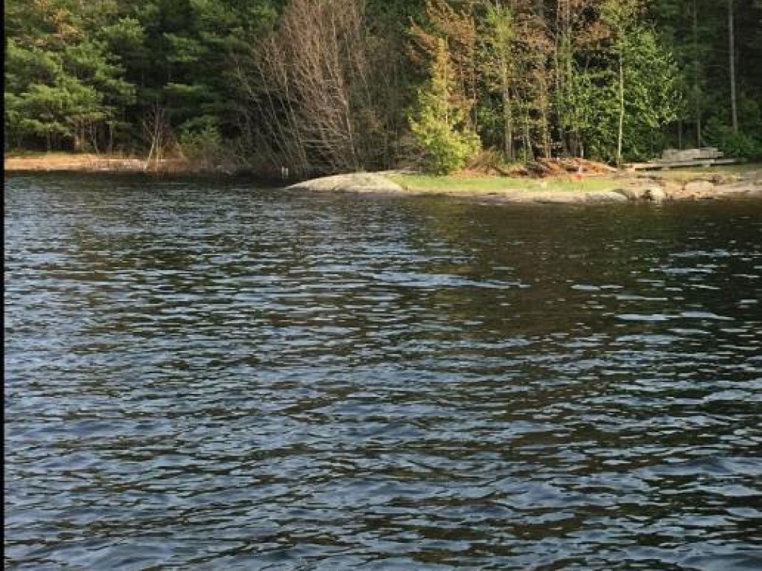 15212 GEORGIAN BAY SHORE,