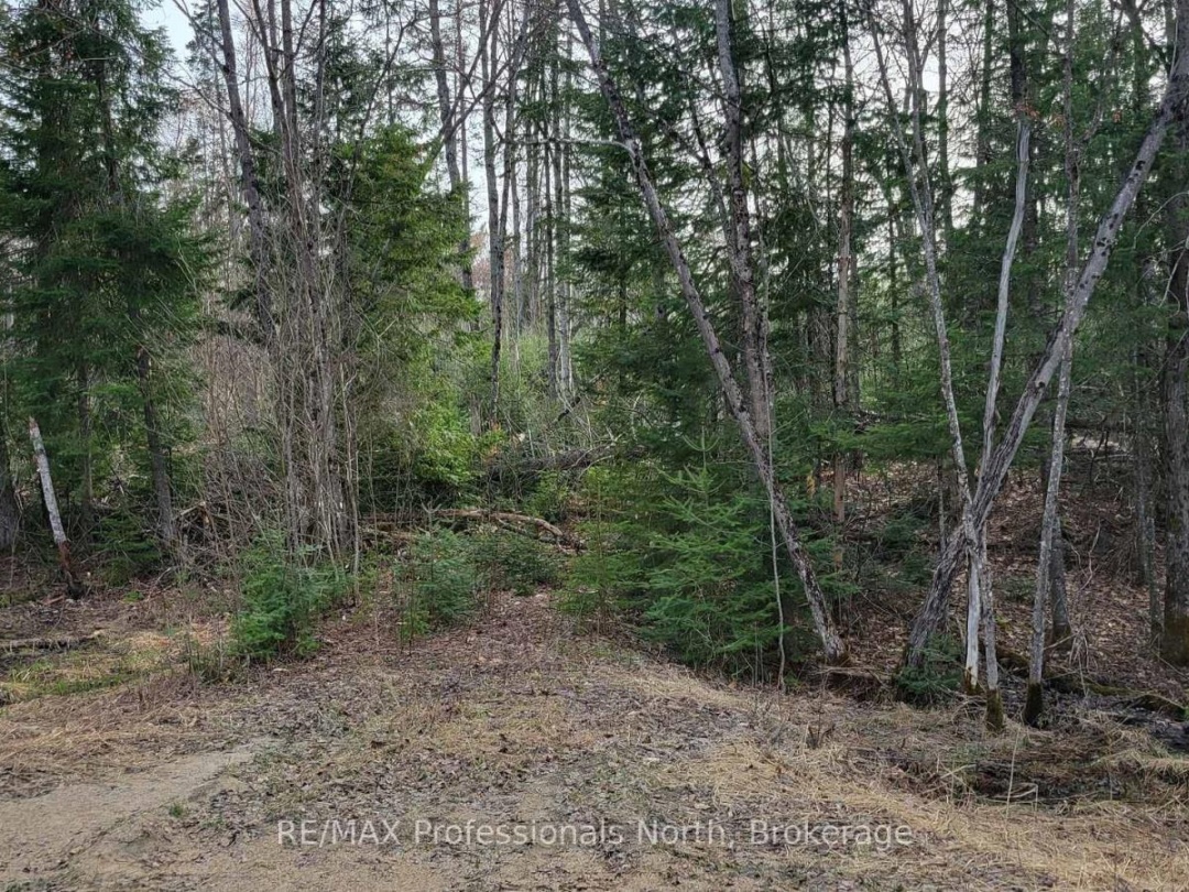 PCL 20438 & 29803 UPPER WALKER LAKE ROAD, Lake of Bays (Sinclair)