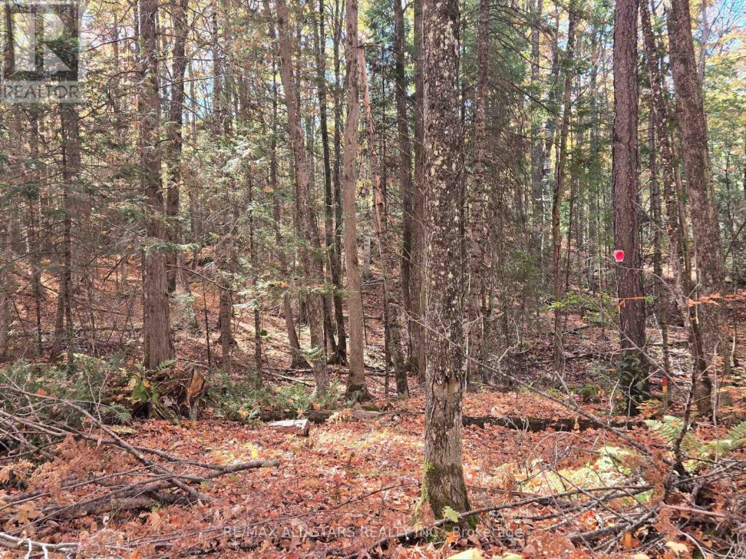 0 SALERNO LAKE ROAD, 