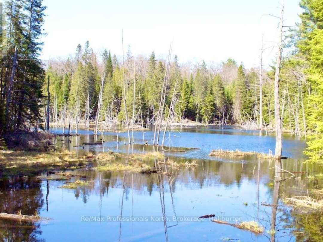 0 Highway 35, Otter Lake