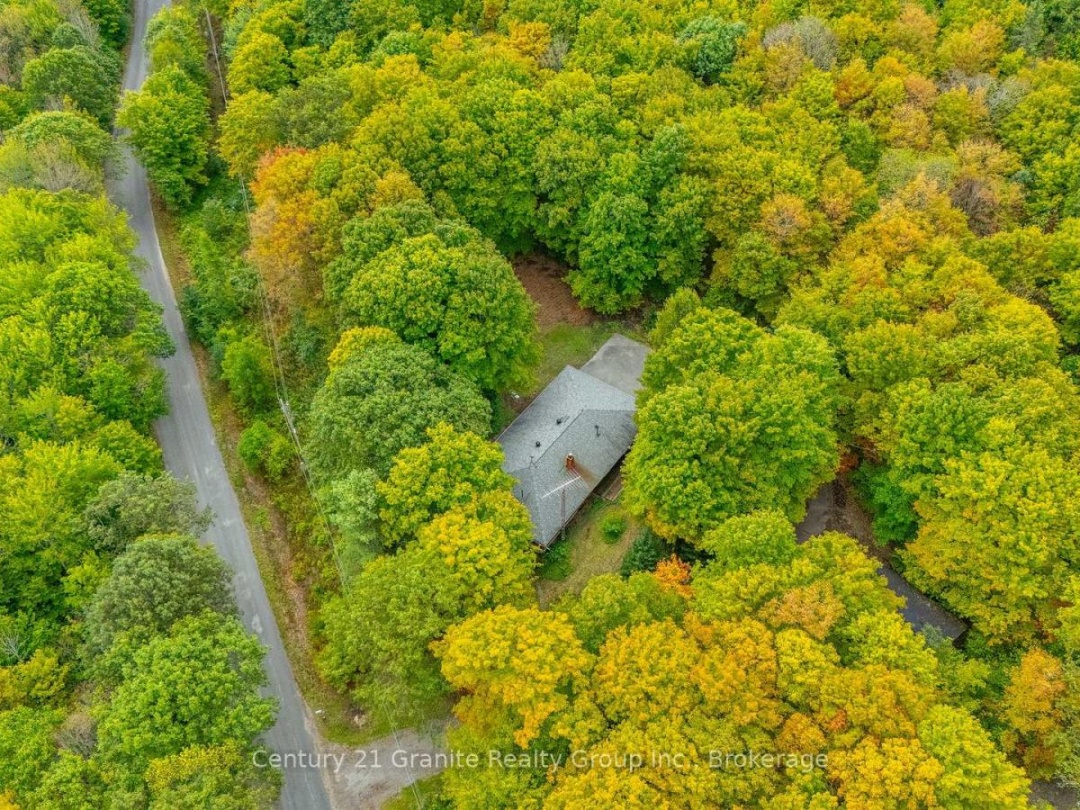1204 WALKER LINE ROAD, 