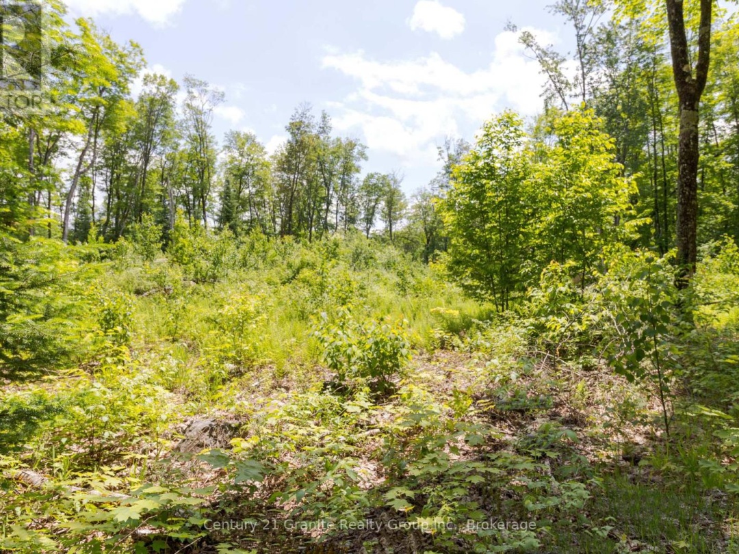 0 HALIBURTON LAKE ROAD, 