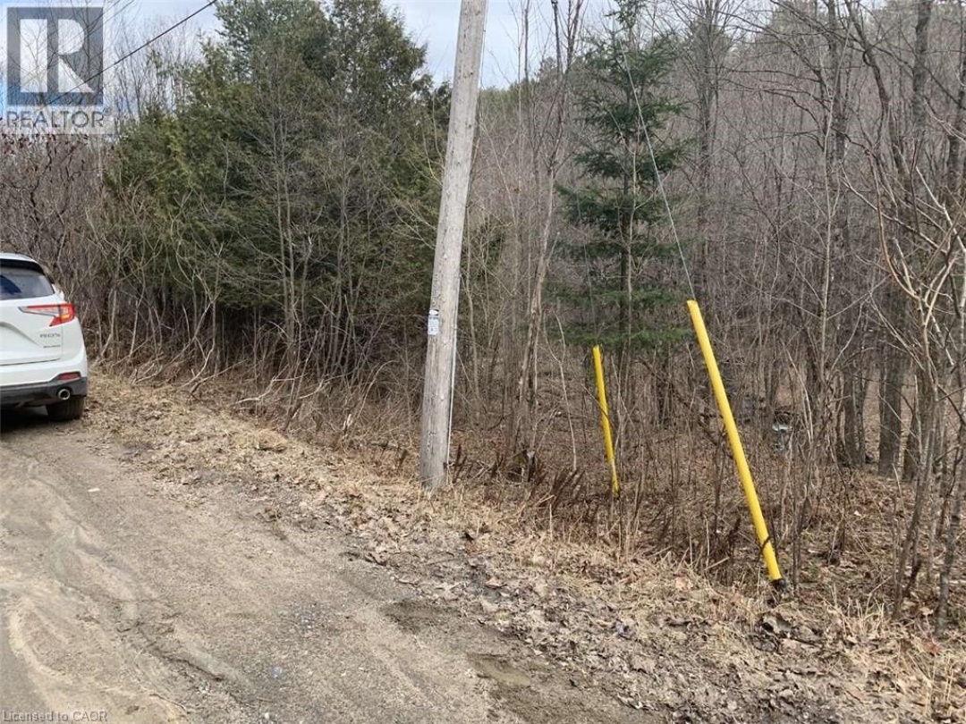 LOT 1 COLONIAL Road, 