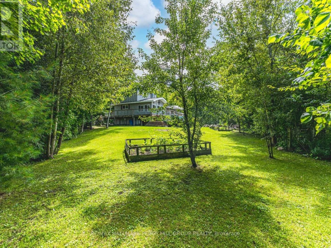 36 MEADOWS AVENUE, 
