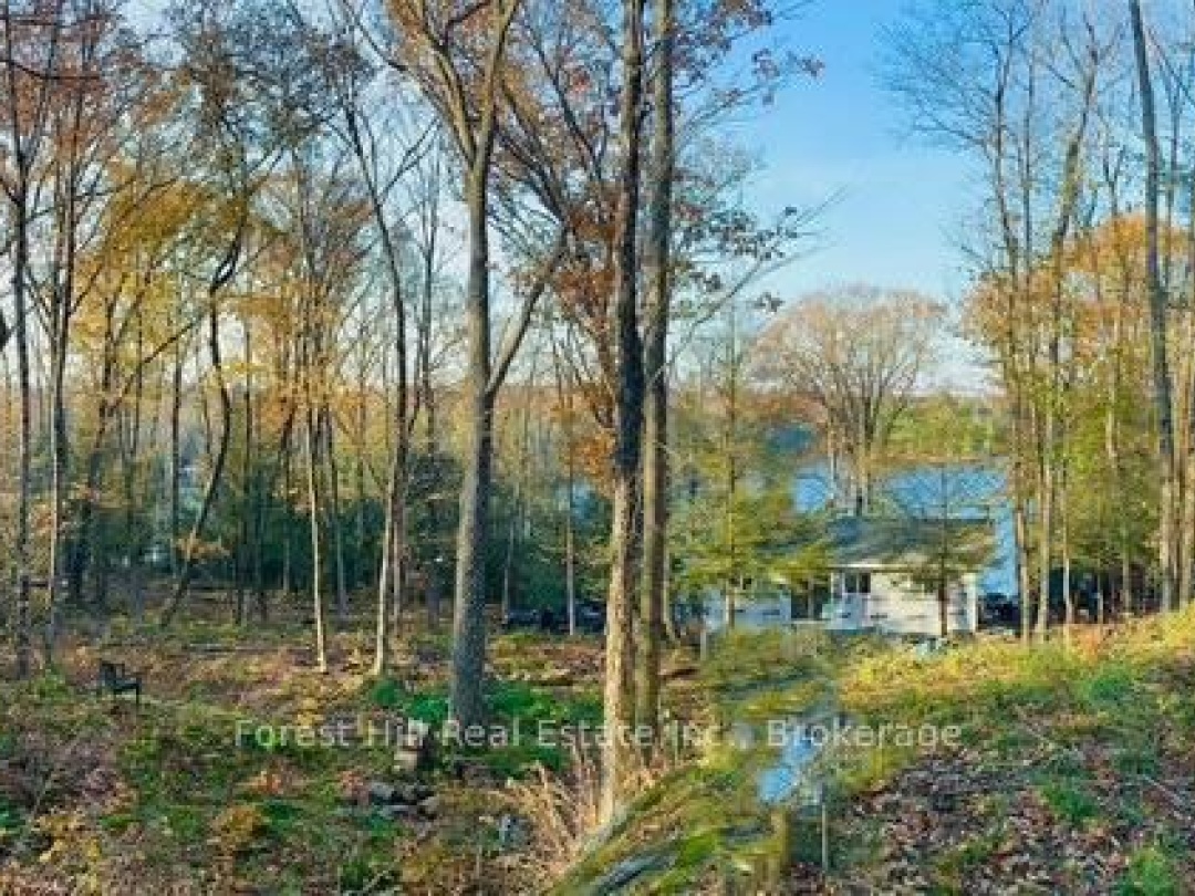 60 Hawksview Lane, Faris Lake