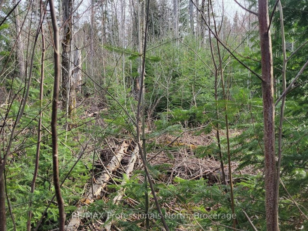 PCL 20438 & 29803 UPPER WALKER LAKE ROAD, Lake of Bays (Sinclair)