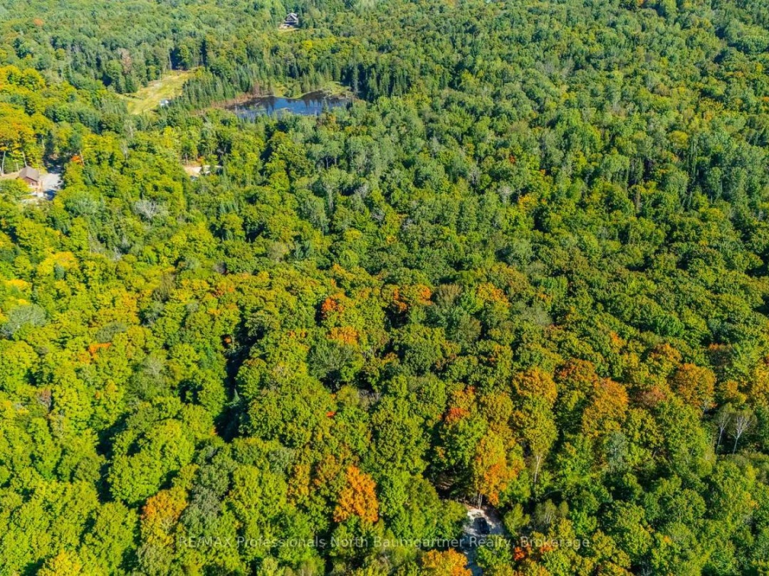 LOT 40 BASSHAUNT LAKE ROAD, 